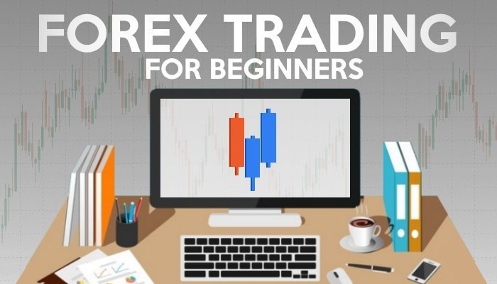 Beginner’s Guide to Mastering the Basics of Forex Trading